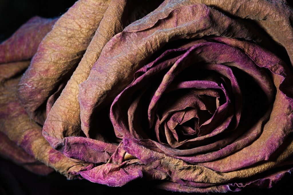 hypnotherapy for self-sabotage